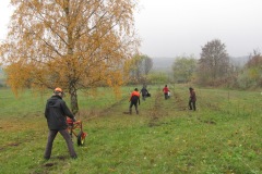 Bäumepflanzen mit WikiWoods in Marnitz